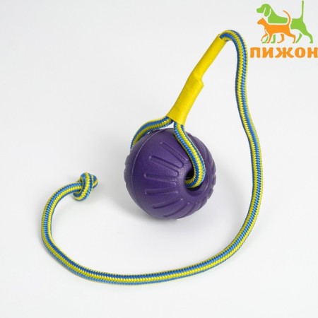 EVA ball on a rope, for training, 7 cm, purple