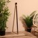 Cane 93 cm, tree shisham