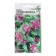 Kufui seeds "Llavavei Srirach", 3 pcs