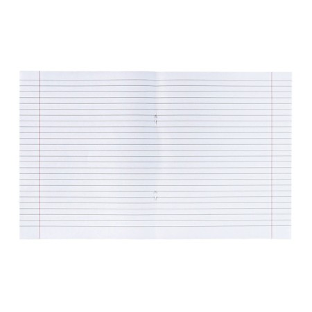Notebook of 48 sheets in the calligrata "green" line, plastic cover, with alphabet, an offset unit-3