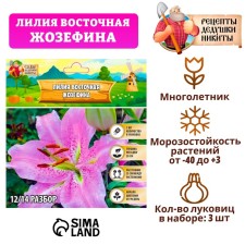 Лилия Восточная "Josephine", р-р 12/14, 3 шт,