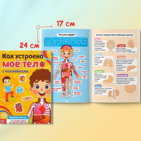 Stickers Set "Human Body", 2 pcs. 16 p.-7