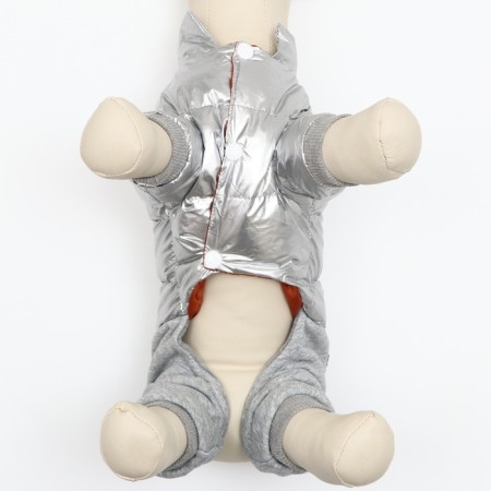 Kombinson "Cosmonaut", size 14 (DS 32 cm, OG 42 cm, Osh 31 cm), silver-4
