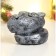 Figure "Snake on Stone" silver, 8x11.5cm