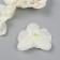 A bud on the leg for decoration "White orchid" d = 5.5 cm