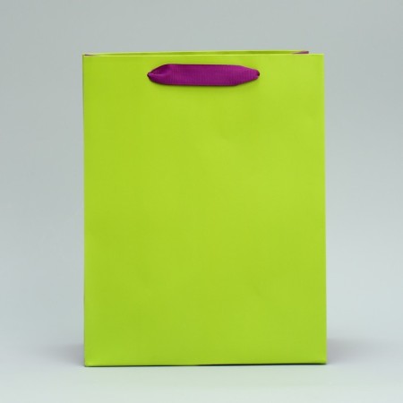 Gift package two-tone, packaging, “light green”, MS 18 x 23 x 10 cm-2