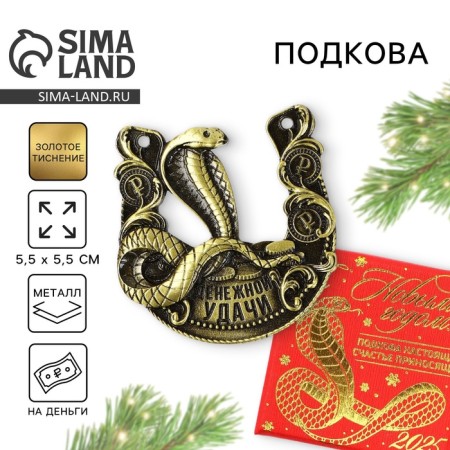 New Year's horseshoe in the box "New Year: Cash Good luck", 5.5 cm
