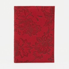 Cover for passport, red color