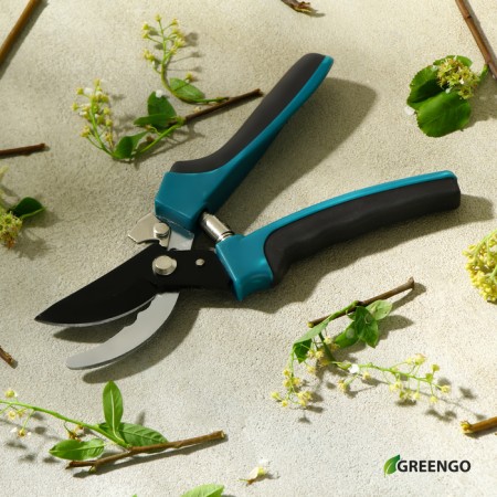Plairrier Secitor, 9 "(23 cm), with plastic handles, mix, Greengo-10