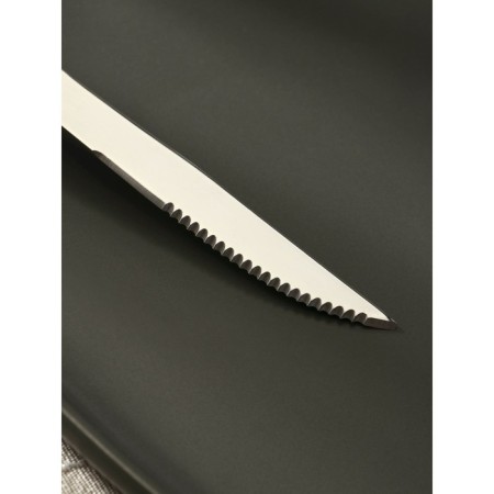 Stainless steel knife "eco-stic", length 20 cm, wooden handle-2