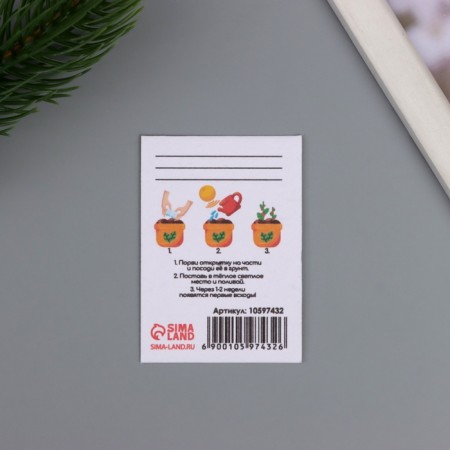 Postcard with seeds "grow itself" "together forever" 5*7cm-2