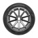 Summer tire Compassal Blazer HP 195/55 R16 91V