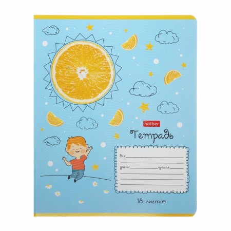 Notebook 18 sheets in a cage "on an orange planet", covered cardboard, embossing, block 65 g/m2, 5v mix-2