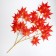 Decor "Leaves on the branch" Red color