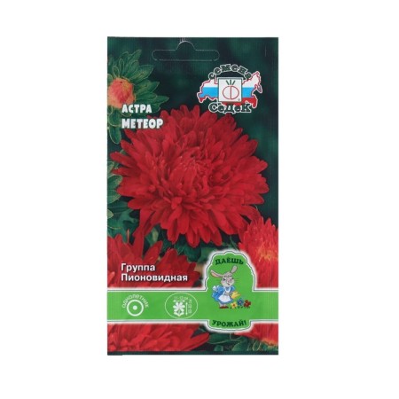Seeds Flower Astra "Meteor" 0.2 g