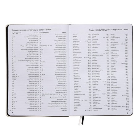 Leduced Diary A5, 160 sheets, Devente.tropicana, Soft Cover made of artificial leather, black cut, stamping foil, block 70 g/m2-7