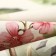 Gift "Flower" towel 40x73cm, shoulder blade