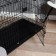 A cell with thickened rods for dogs and cats, 91 x 59 x 69 cm, black