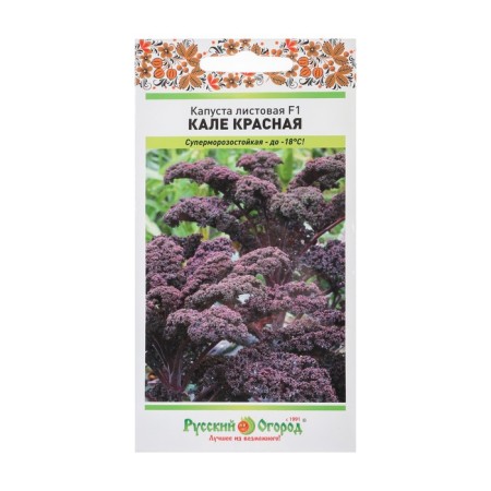 Cabbage seeds leaf "Kale Red", F1, 50 pcs.-2