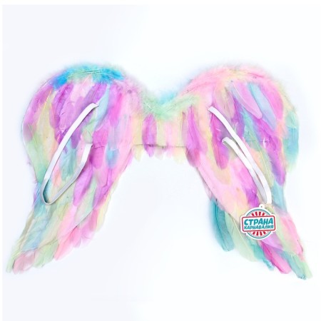 Angel wings 55 × 42 cm-1
