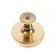 Handle button tundra RK116GP, color gold