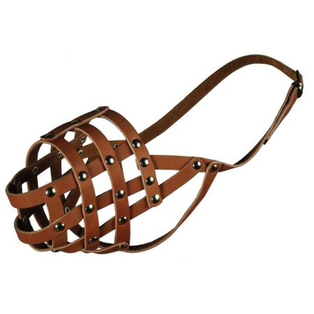 Leather muzzle No. 5 (dog bitch)