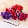 Bouquet "Clematis hybrid" D-7 cm 33 cm 14 flowers, mix