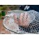 Doschek collapsible LJ Area Trout Game 115x35x45cm Silicone
