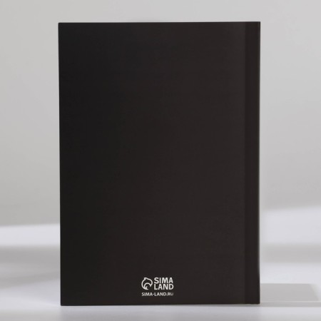 Gift set: A6 diary 80 sheets and a thermostatic 250 ml to a “real man”-8