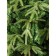 Artificial spruce Green Trees "Forest", premium, 240 cm