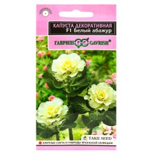 Cabbage seeds 