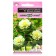 Cabbage seeds "White lampshade", F1, 4 pcs.