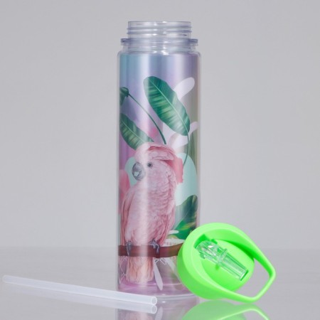 Water bottle "Parrot", 550 ml-2