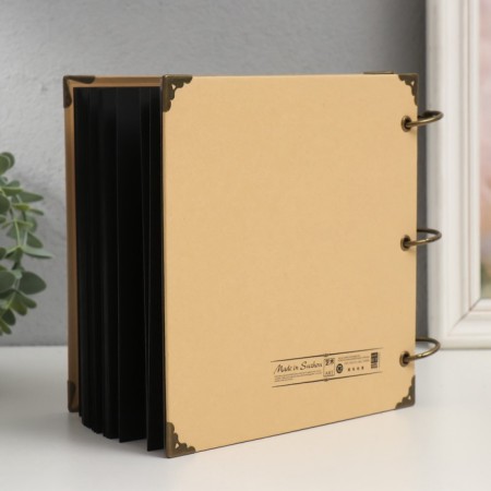 Photo album on rings 30 sheets "Fresh" Black sheets 18x18 cm-5