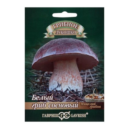 Seeds of mycelium "White Mushroom", pine on grain substrate, 15 ml