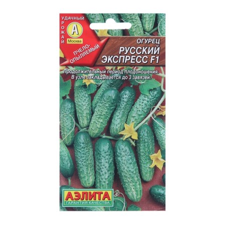 Seeds of cucumber "Russian Express" F1, medium early, bee -legged, 10 pcs.