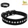 Collar "velvet and rhinestones", 31 x 1.3/2 cm, Osh 22-28 cm, black