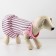 Dress for dogs Culinary, L (DS 32, Osh 38-42, OG 44-48), pink with gray stripes