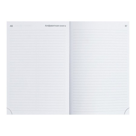 Leduced A5 Diary, 160 sheets, Devente.Gold Rush, firm artificial leather cover with foam rubber, silver slice, Bullpan of 70 g/m2, silver-9