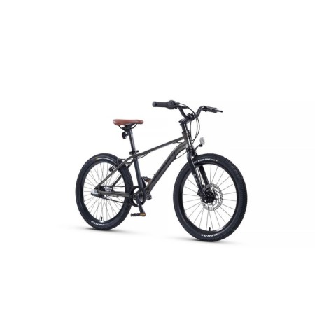 Bicycle 20 ’’ maxiscoo 7bike m700, graphite color-1