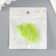 The leaves skeletoned for creativity are "green" set 20 pcs h = 6-6.5 cm