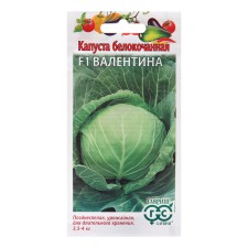 Cabbage seeds Belokoch. 