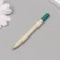 Growing gift pencils Mini "Mint"