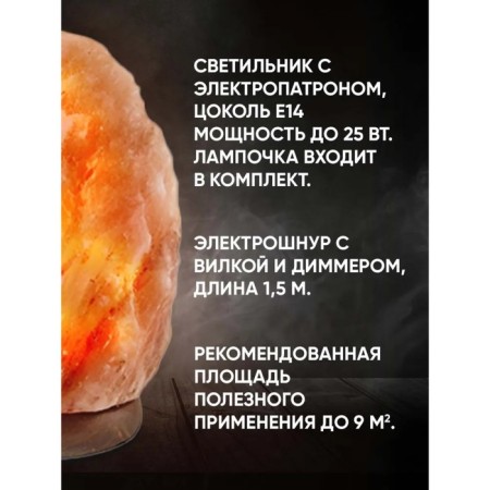 Salt lamp Ergopower ER 501, 220 V, 15 W, 2-3 kg-13