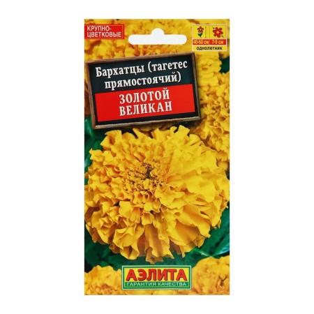 Flower seeds of marigold "Golden Giant", o, 0.1 g-2