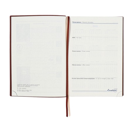 Dated 2025 diary, A5+, 176 sheets of Escalada, soft cover cover, pancake embossing, lies, cream block 70 g/m2, brown-6