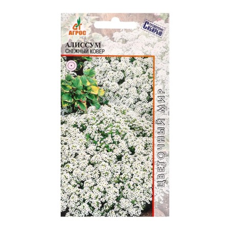 Seeds Alissum Snow carpet 0.1g*