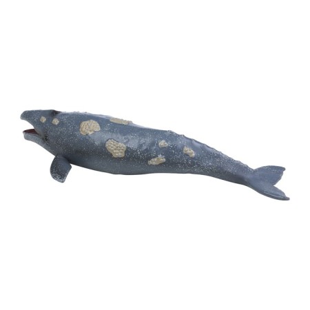 Figure "World of Marine Animals: Gray Whale"-5
