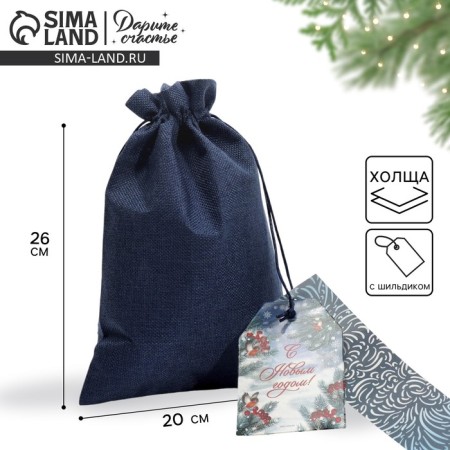 Gift bag "Blizzard", 20 x 30 cm +/- 1.5 cm, New Year