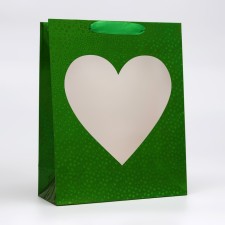 Packet Holography with the window 